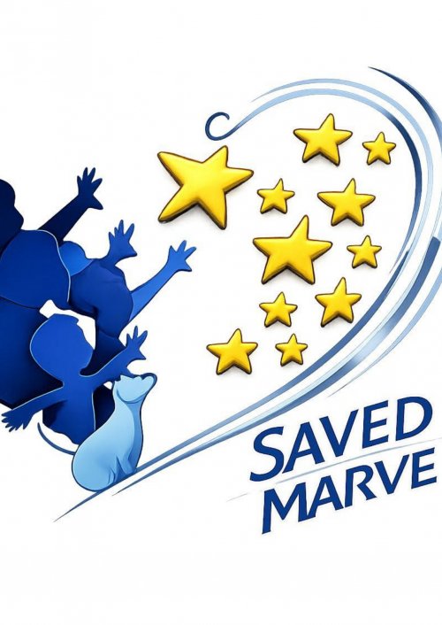 Foto dell'associazione